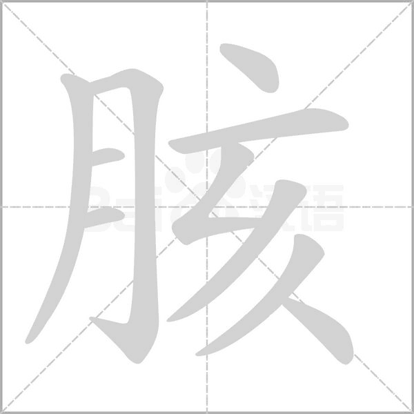 汉字胲的拼音怎么读解释及意思