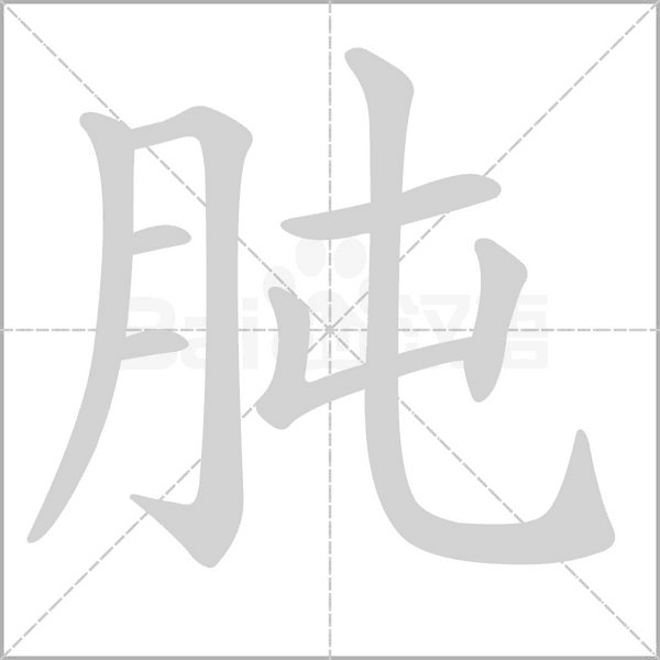 汉字肫的拼音怎么读解释及意思