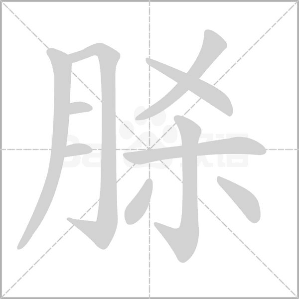 汉字脎的拼音怎么读解释及意思