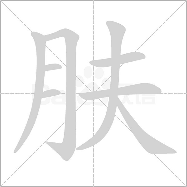 肤的拼音意思组词笔划部首成语有那些