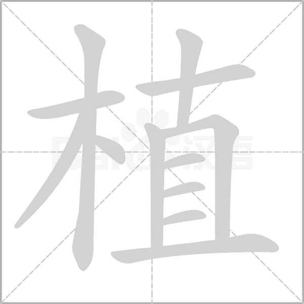 汉字植的拼音怎么读解释及意思