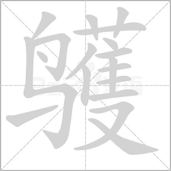 汉字鹱的拼音怎么读解释及意思