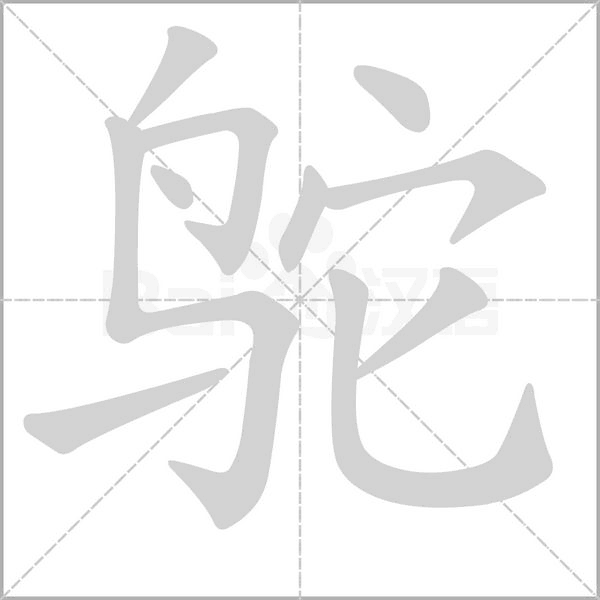 汉字鸵的拼音怎么读解释及意思