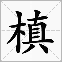 汉字槙的拼音怎么读解释及意思