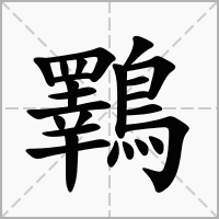 汉字鸅的拼音怎么读解释及意思